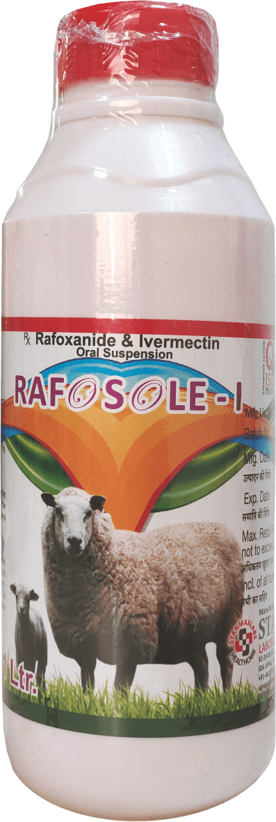 RAFOSOLE-I