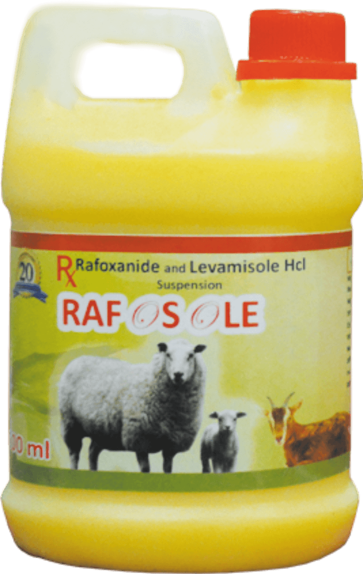 RAFOSOLE