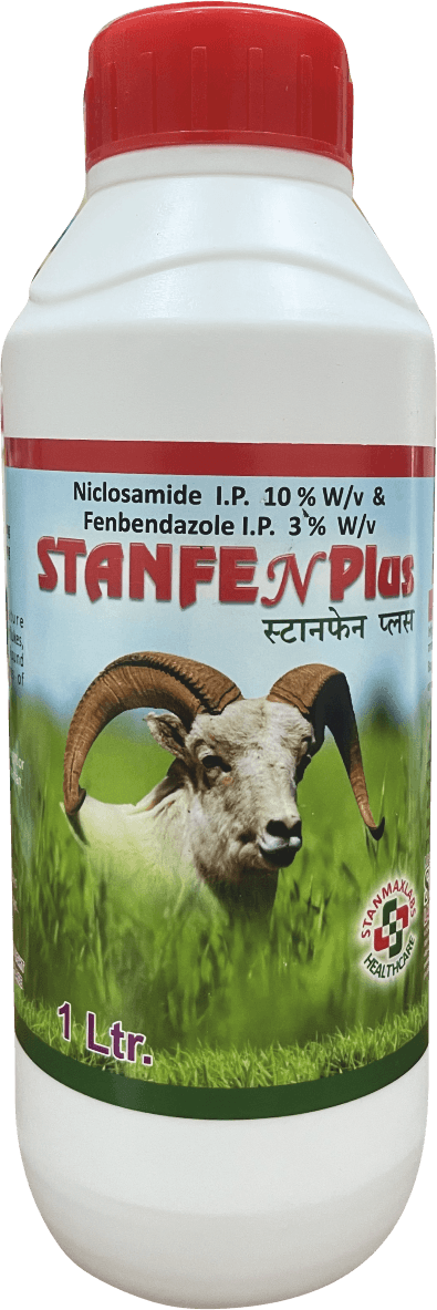 STANFEN PLUS
