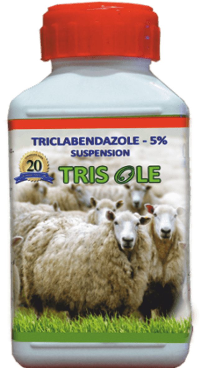 TRISOLE