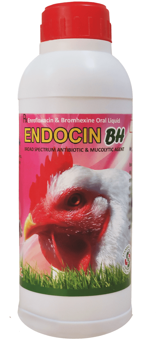 ENDOCIN-BH