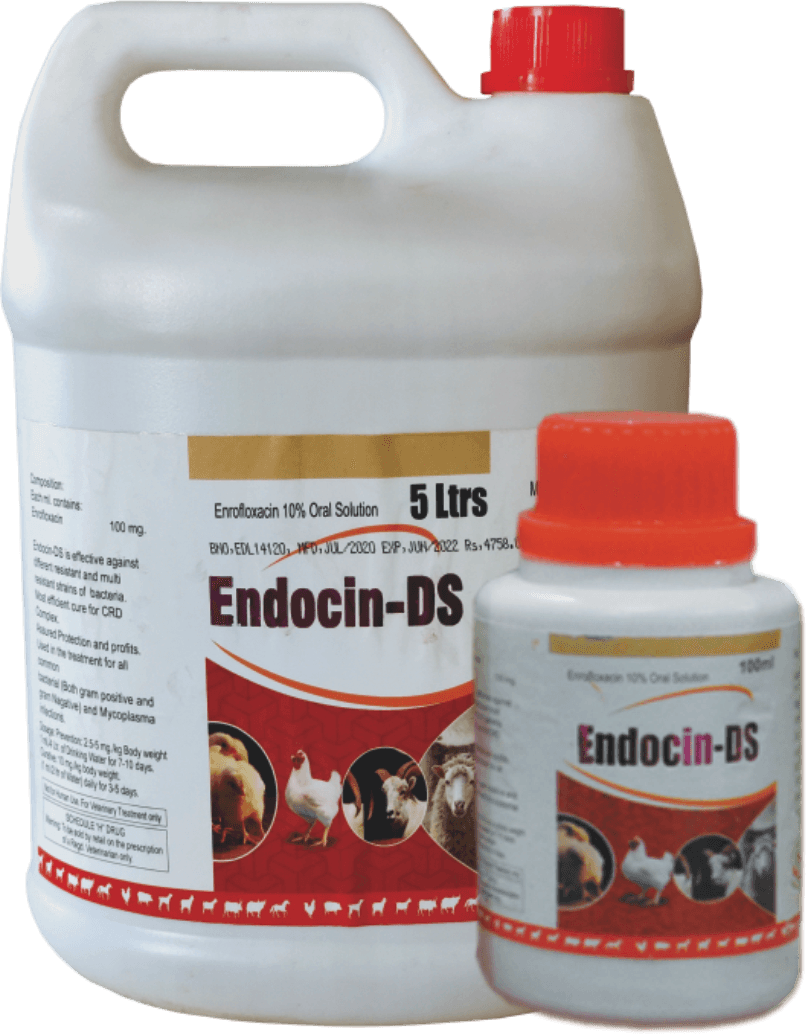 ENDOCIN-DS