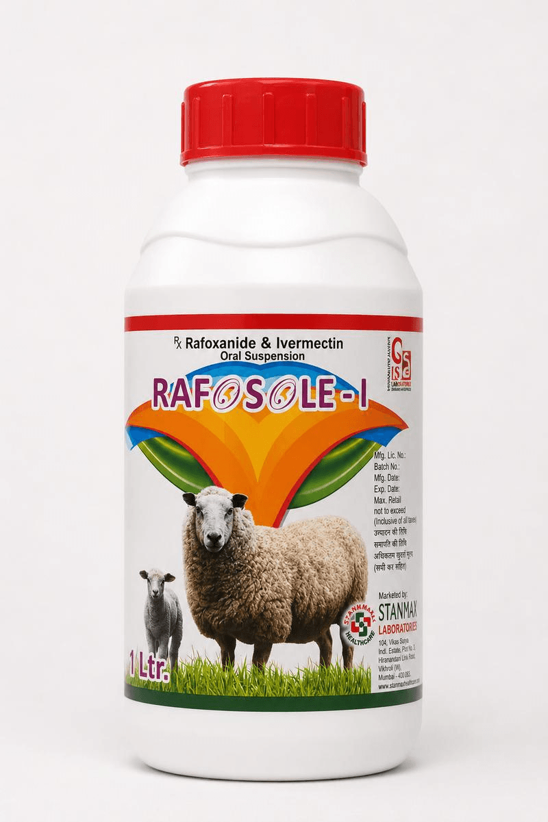 RAFOSOLE-I