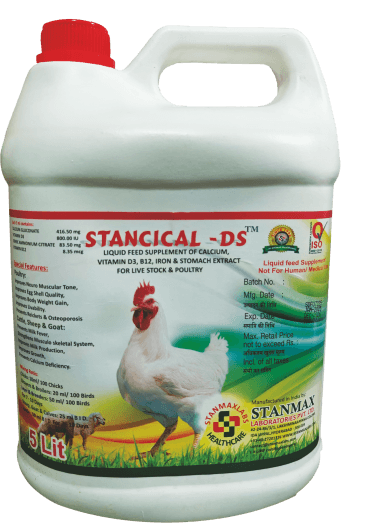 STANCICAL DS