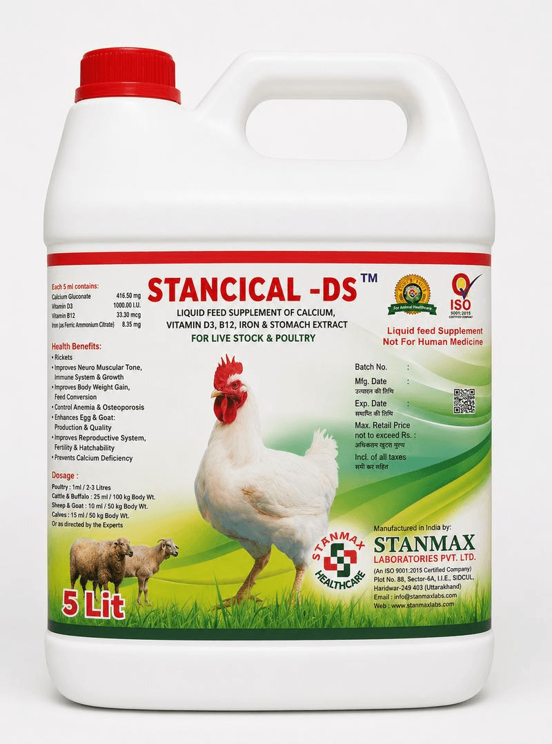 STANCICAL DS