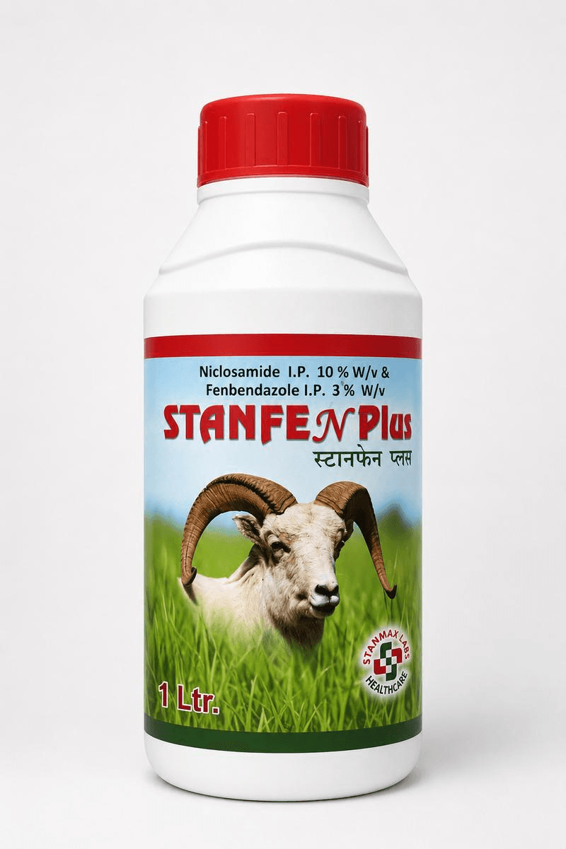 STANFEN PLUS