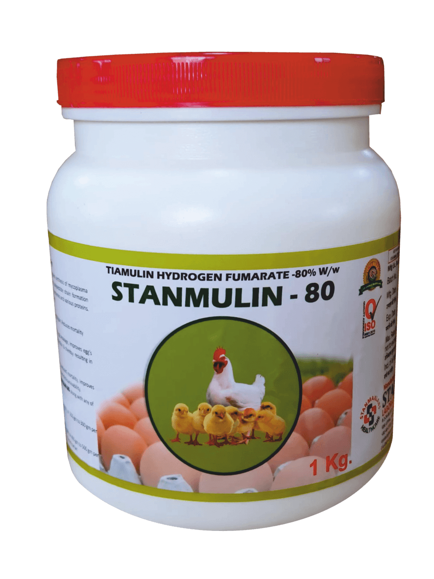 STANMULLIN 80