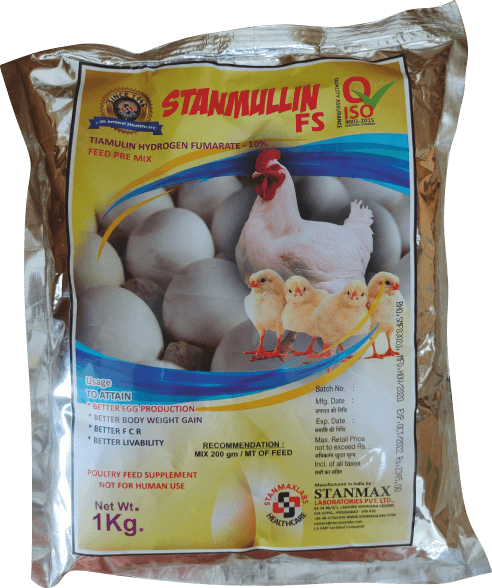 STANMULLIN FS