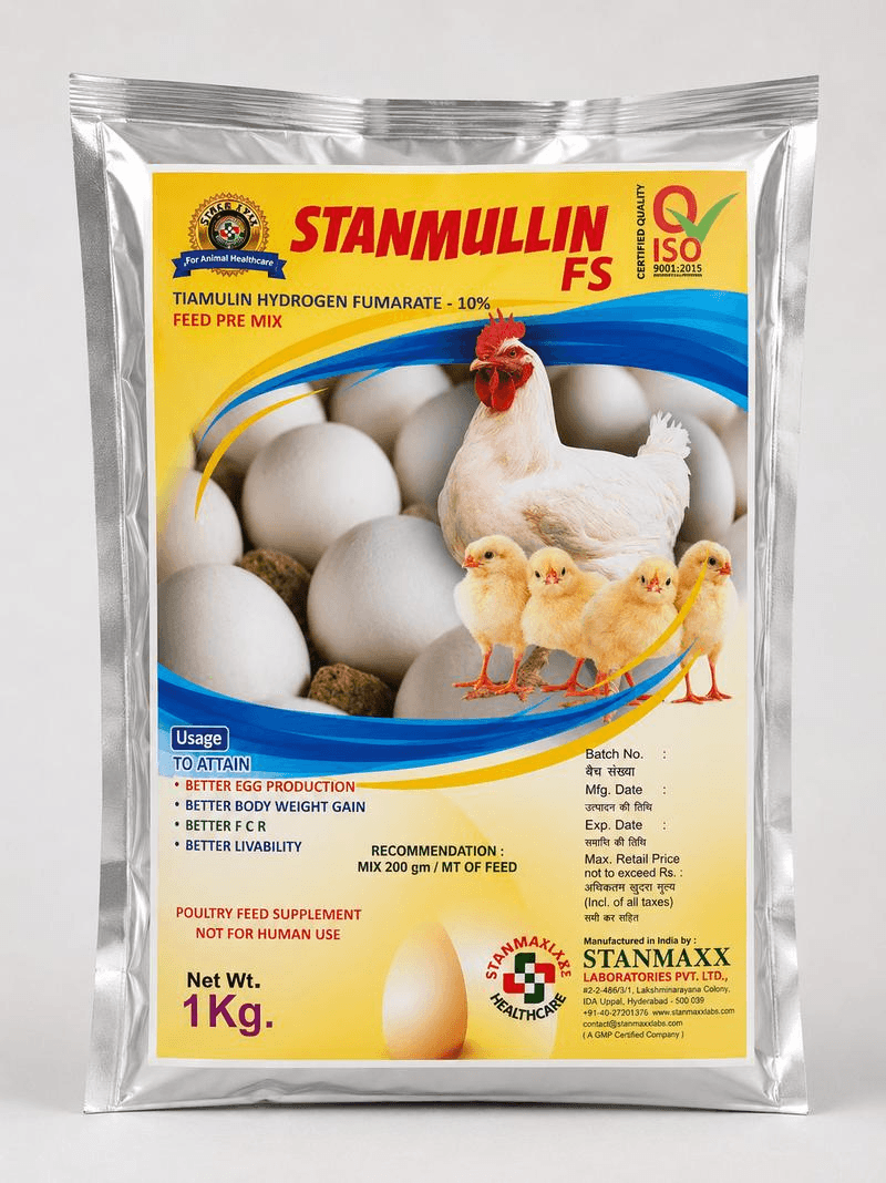 STANMULLIN FS