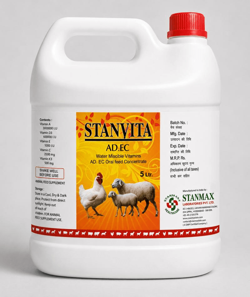 STANVITA AD3EC